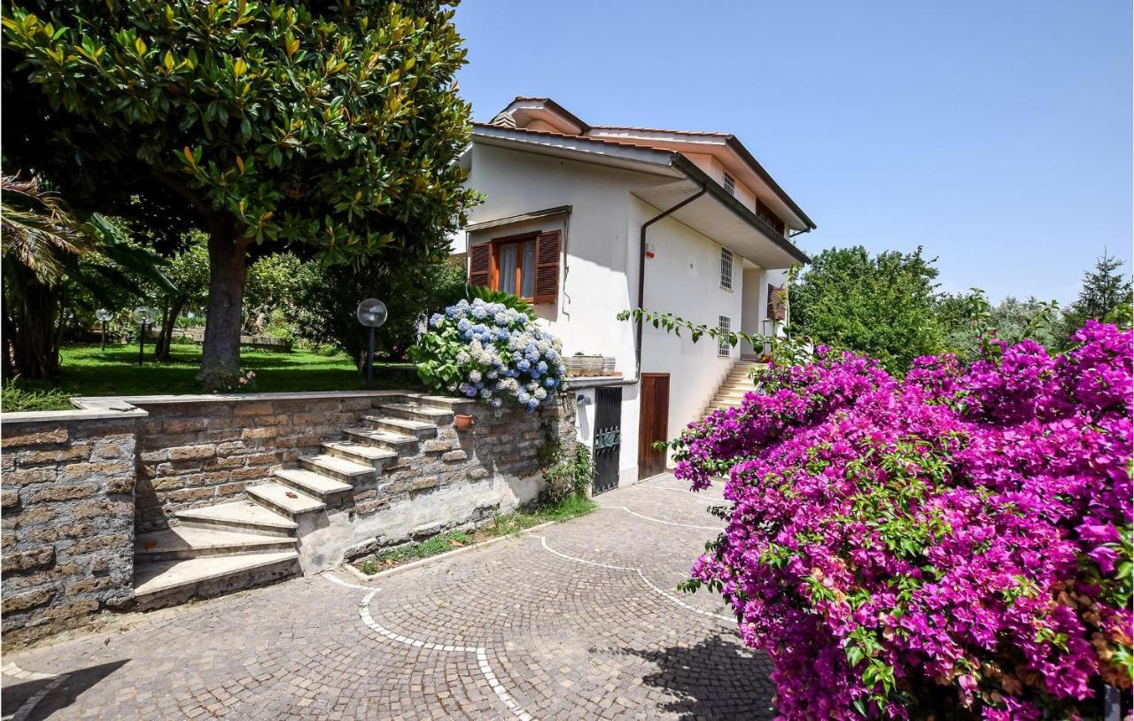 Cozy Home In Anguillara Sabazia With Kitchenette מראה חיצוני תמונה